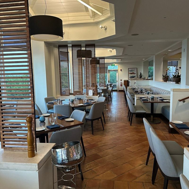 Oystercatchers (Grand Hyatt Tampa Bay)