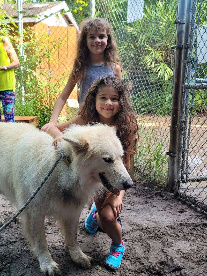 Guided Tours That Teach and Inspire