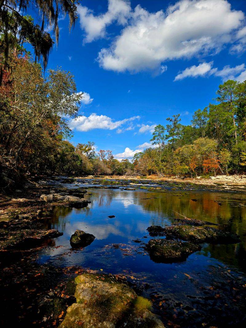 Big Shoals State Park