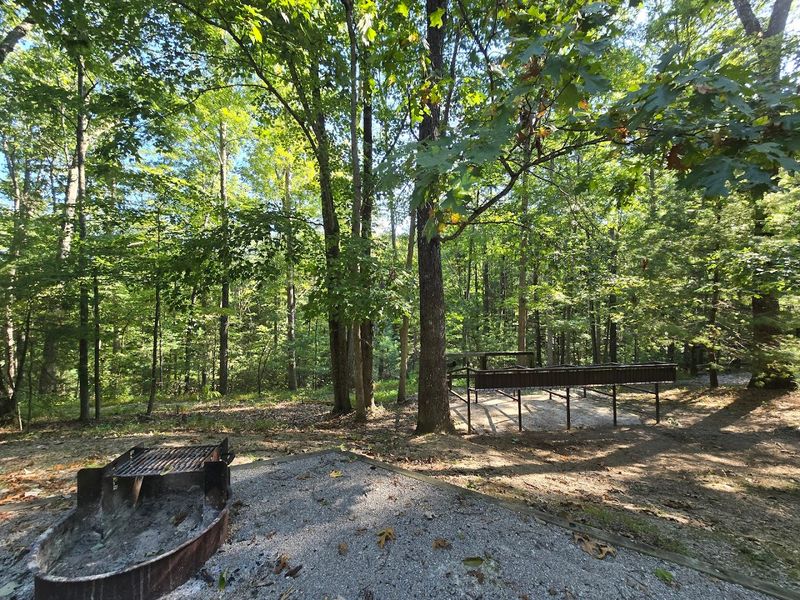 Big South Fork – Station Camp Area