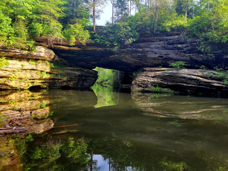 Pickett CCC Memorial State Park