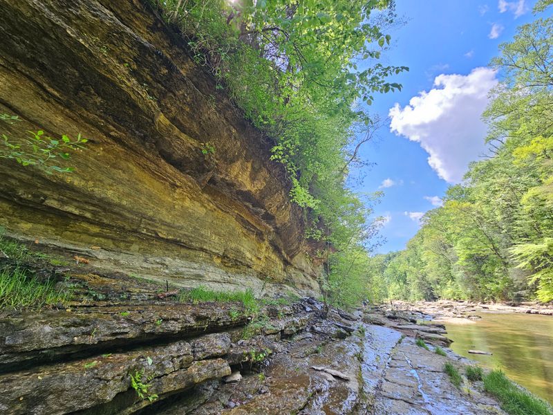 Cummins Falls Gorge (Cookeville)