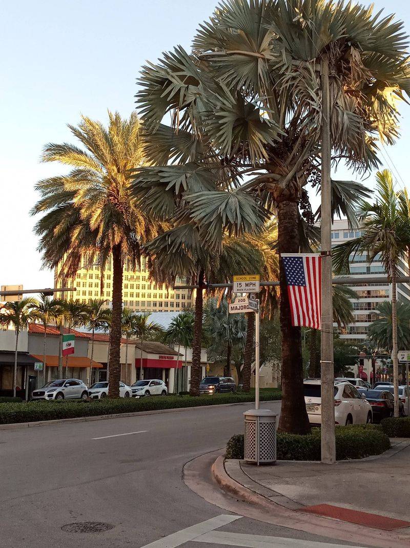 Coral Way Around 32nd Avenue (Coral Gables Edge)