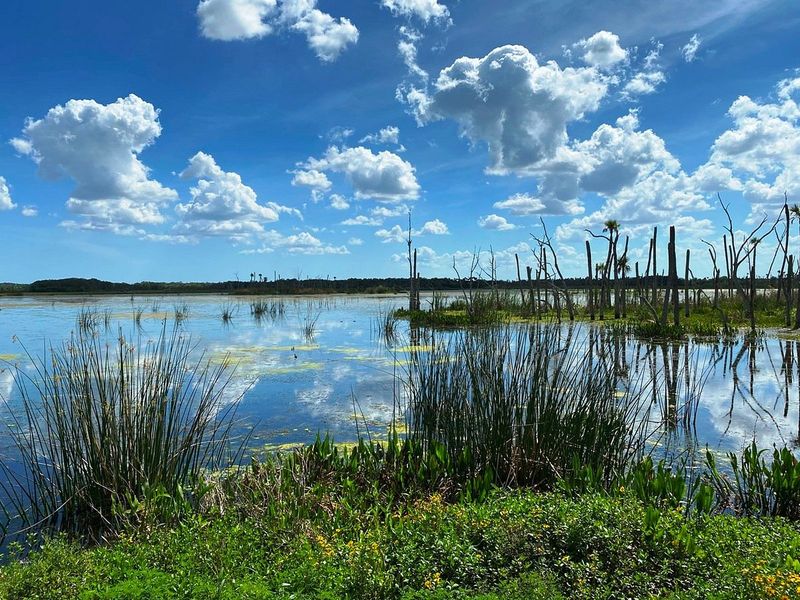 Orlando Wetlands Park