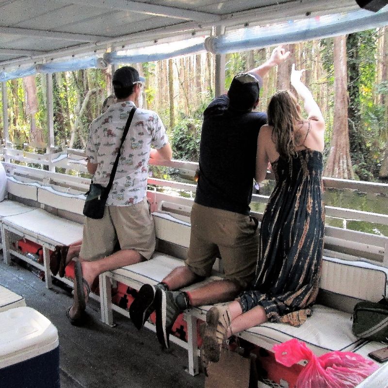 Holiday Lights And Cider Ride