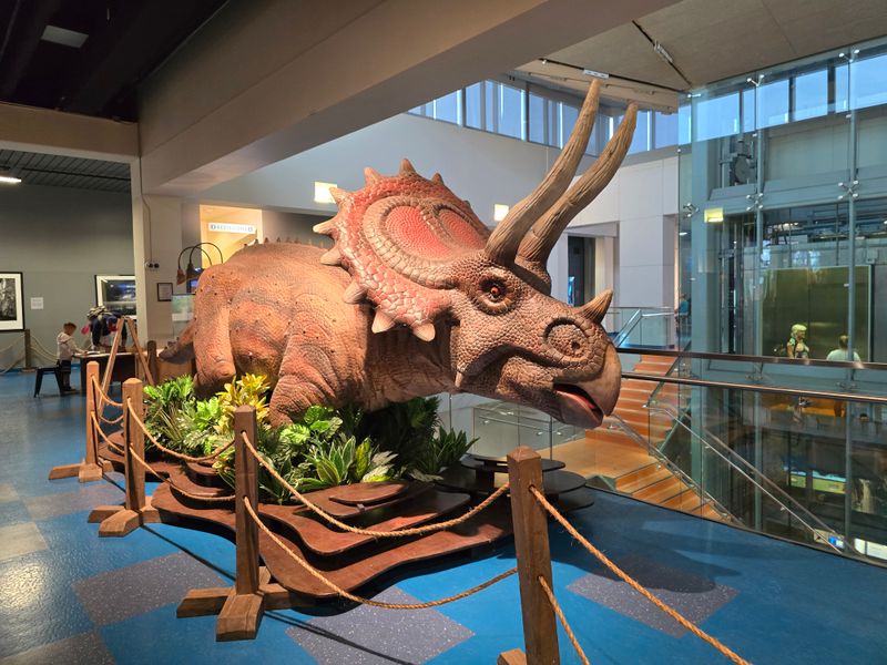 Museum of Discovery and Science (Fort Lauderdale)