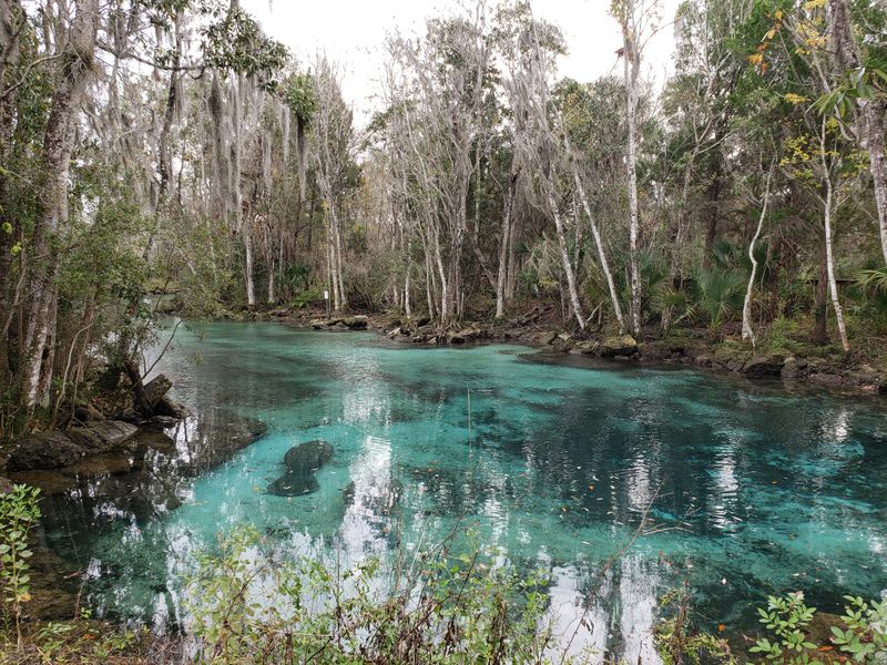 Crystal River NWR — side channels away from Three Sisters Springs