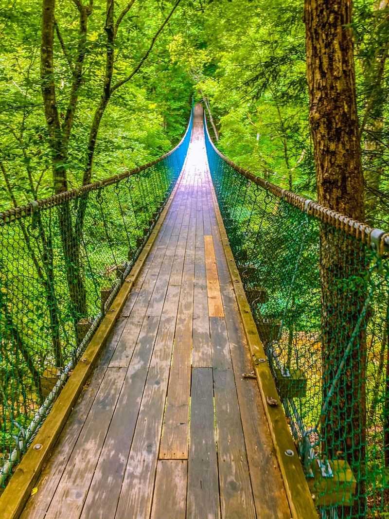 What It Actually Feels Like to Cross the Bridge