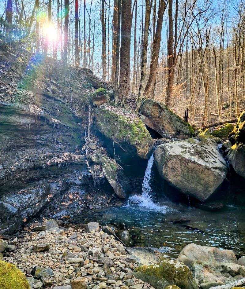 Emory Gap Falls Trail (Wartburg)