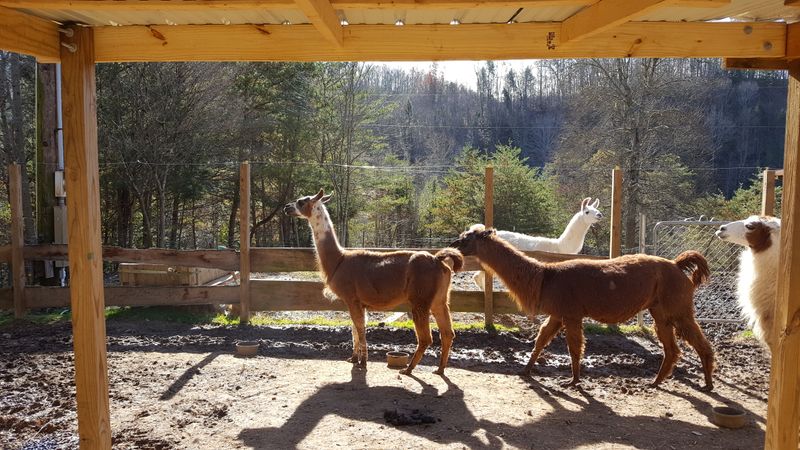 What to Know Before You Go