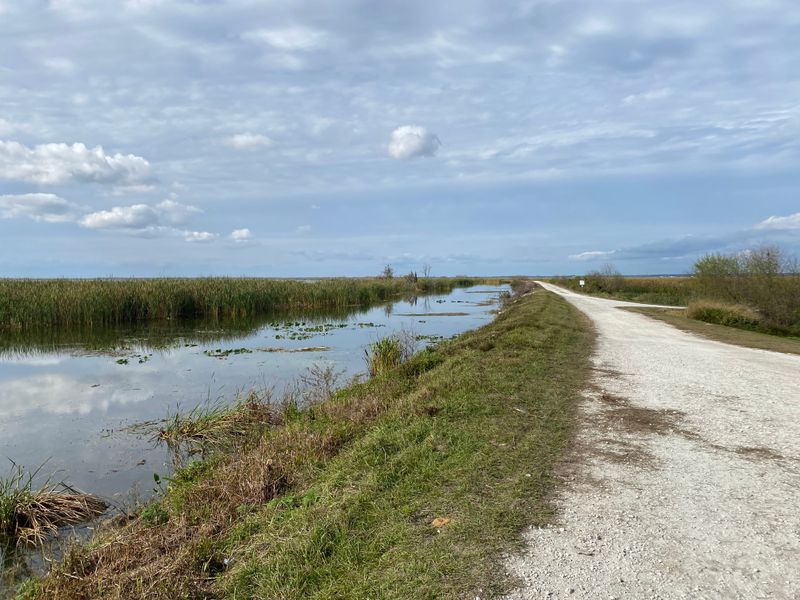 Lake Apopka North Shore Trail (Lake County)