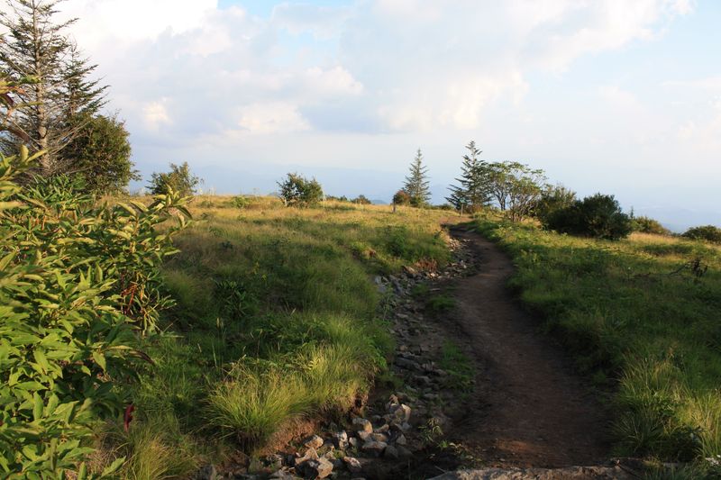 Forney Ridge Trail to Andrews Bald