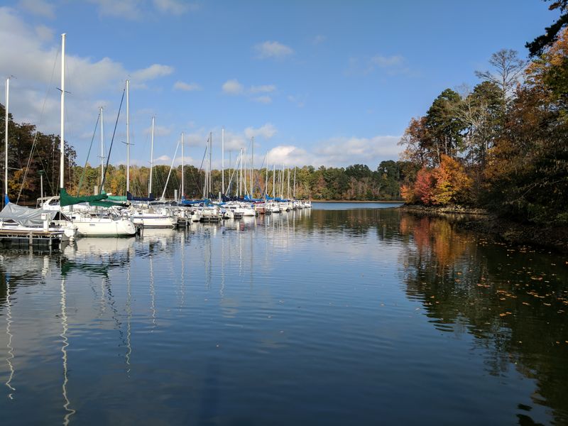 Lake Pickwick's Stunning Scenery and Waterfront Views