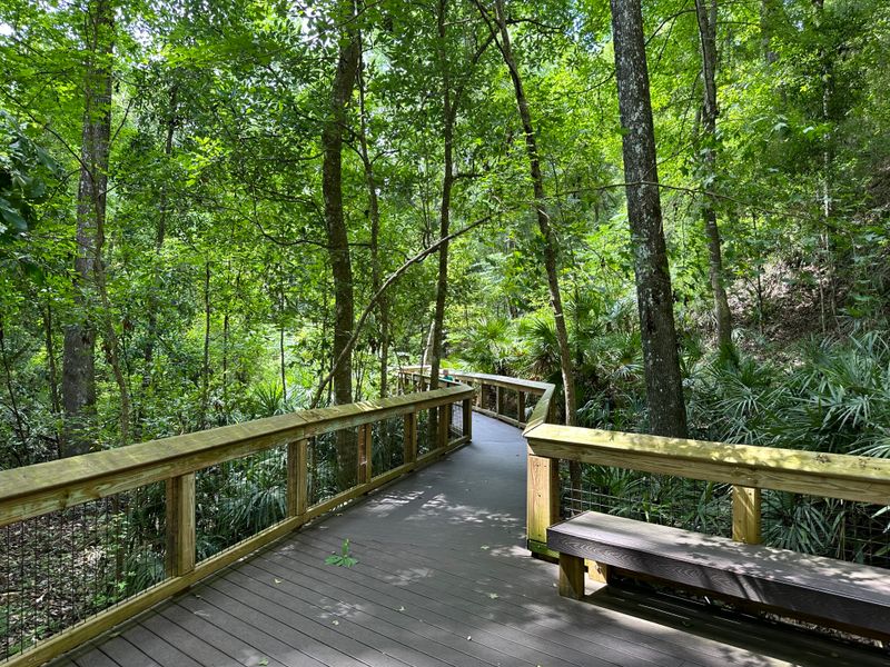 Mike Roess Gold Head Branch State Park