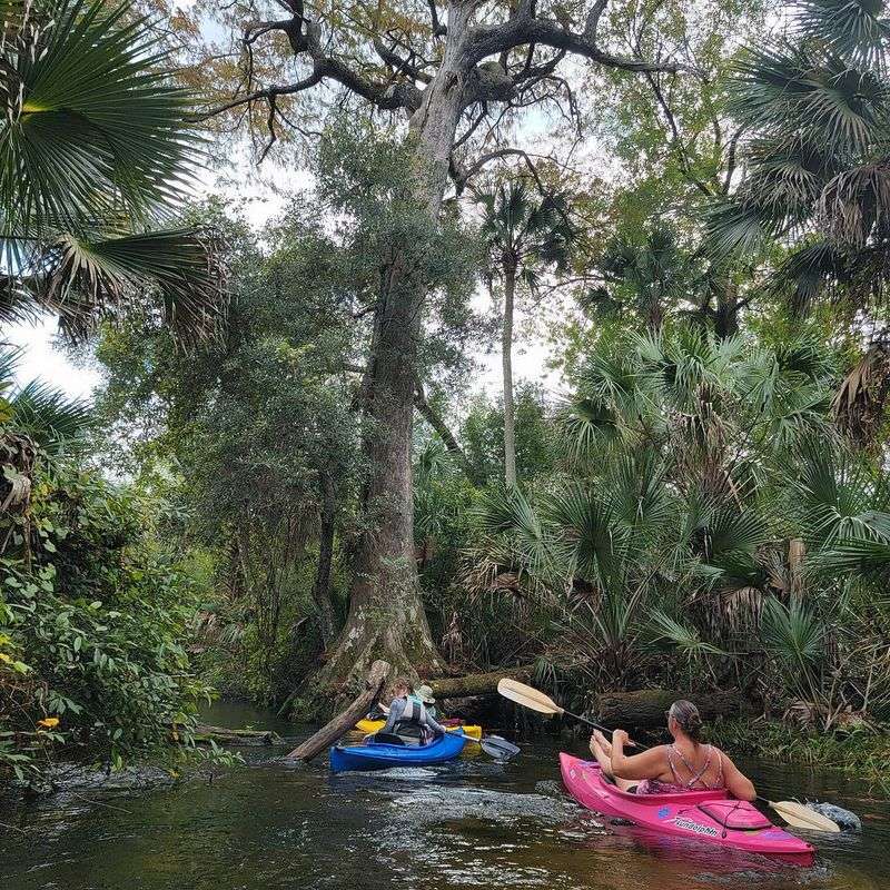 Juniper Springs Recreation Area