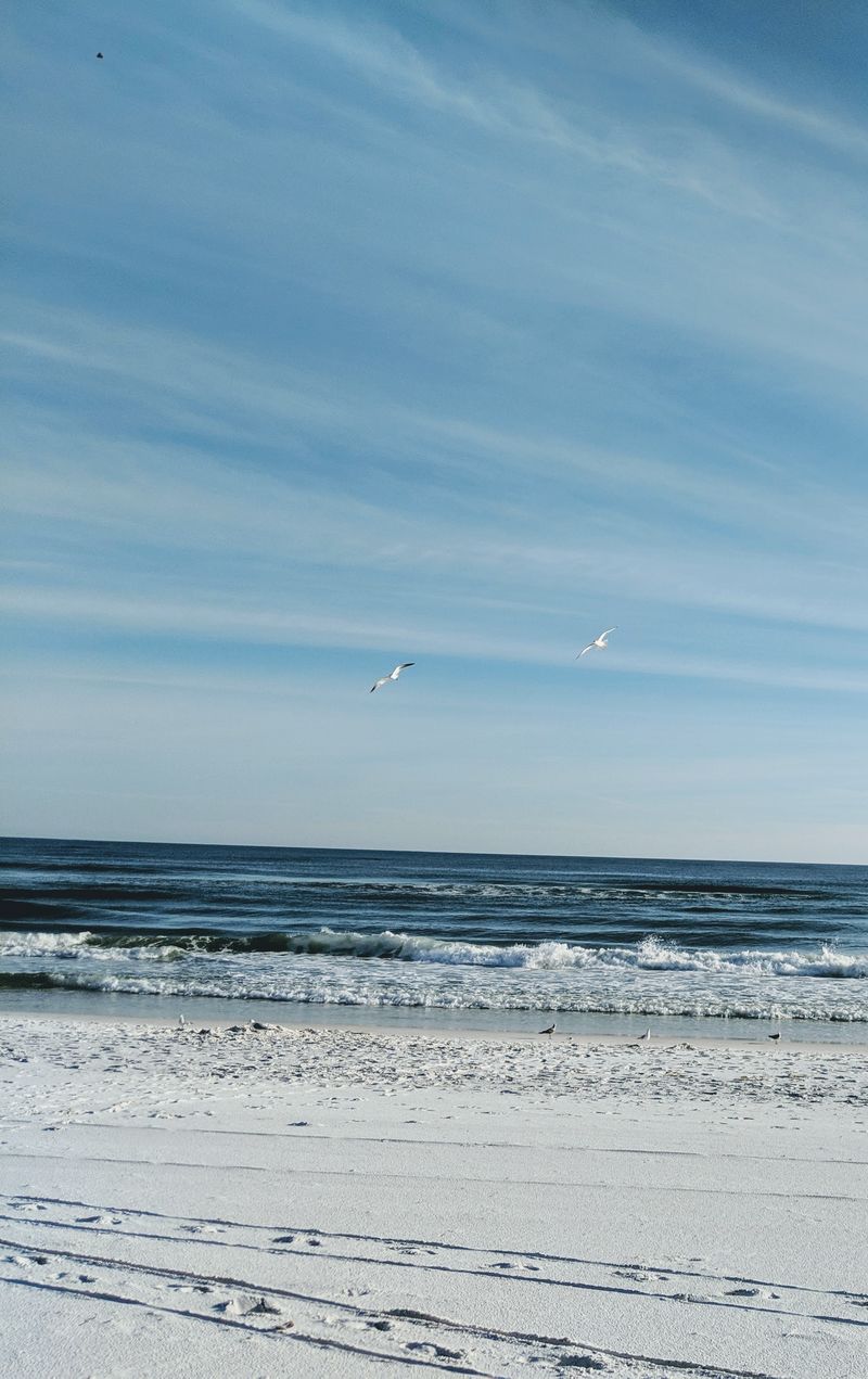 Dune Walks And Sea Oats