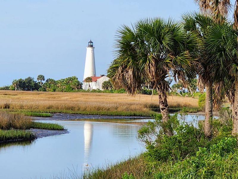 St. Marks National Wildlife Refuge (south of Tallahassee)