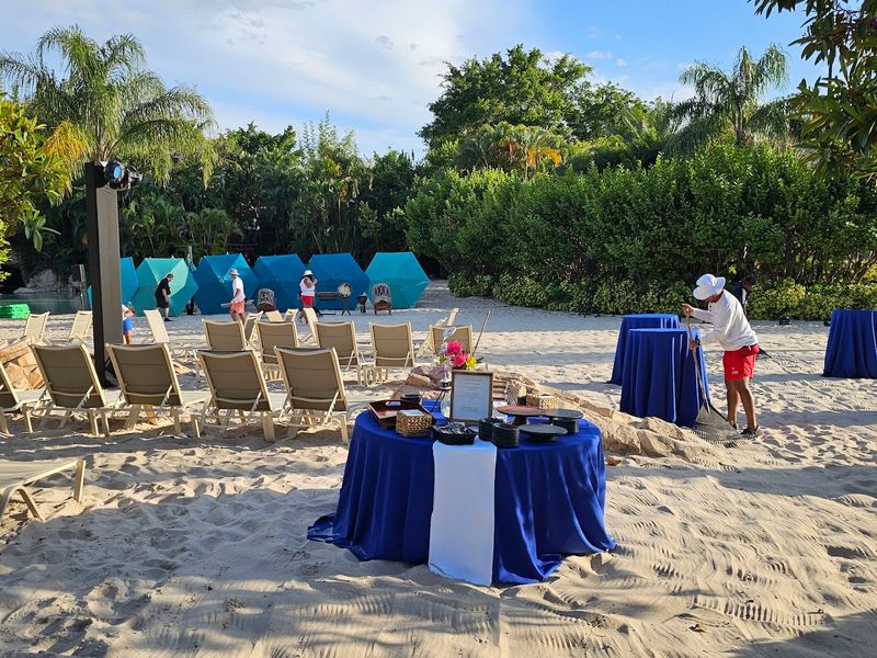 Smart Timing And Line Tips