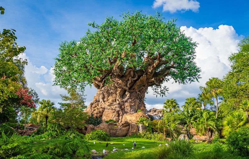 Disney's Animal Kingdom (Bay Lake)
