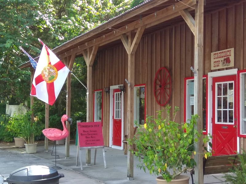 Delectable Collectables