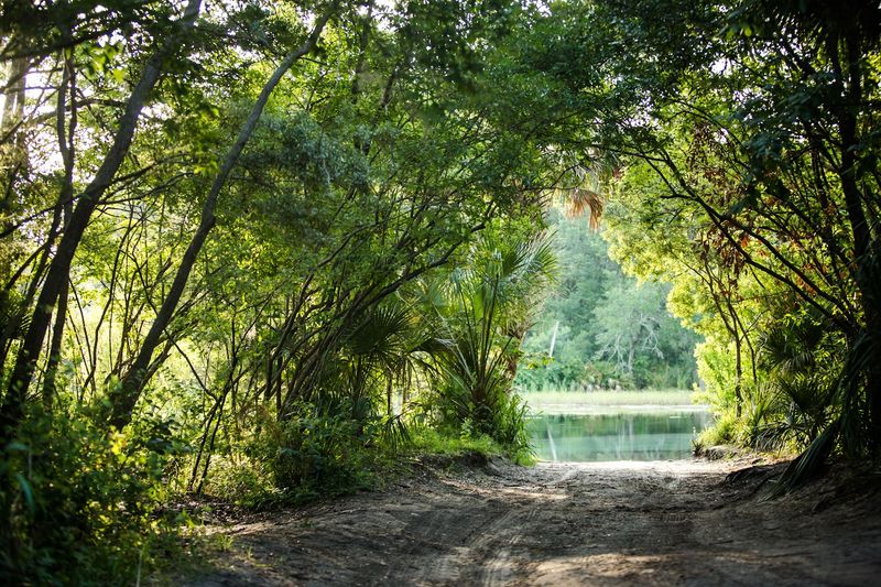 Wildlife Etiquette and Safety