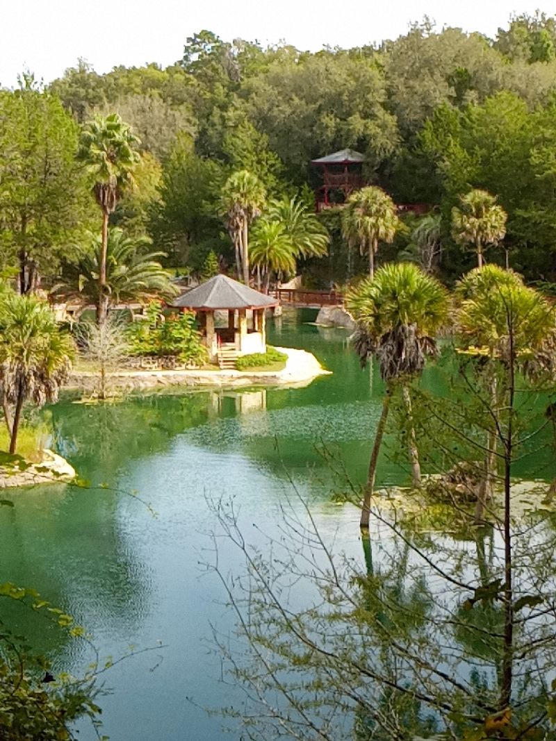 Tips For The Perfect Visit