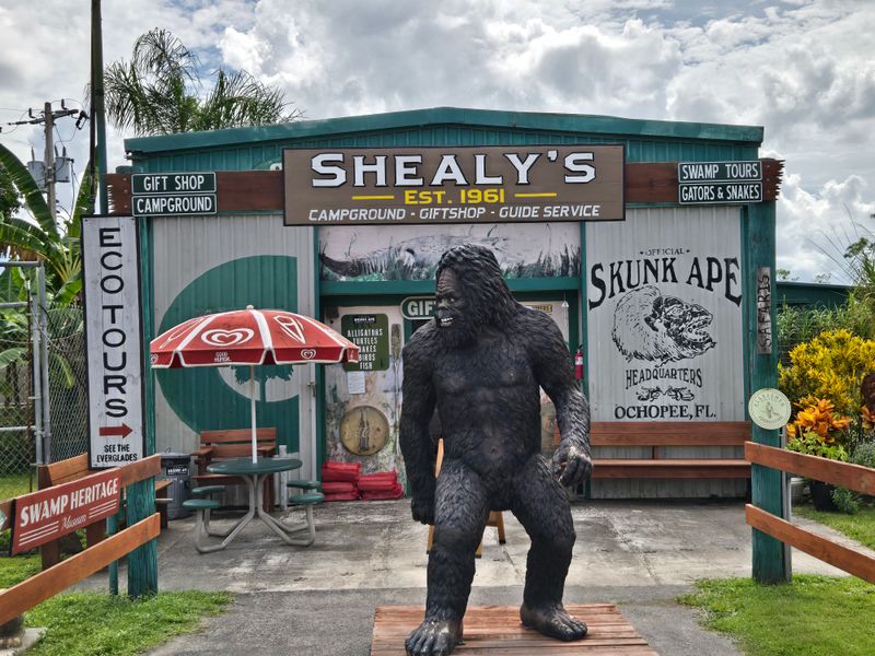 Skunk Ape Research Headquarters (Ochopee, FL)
