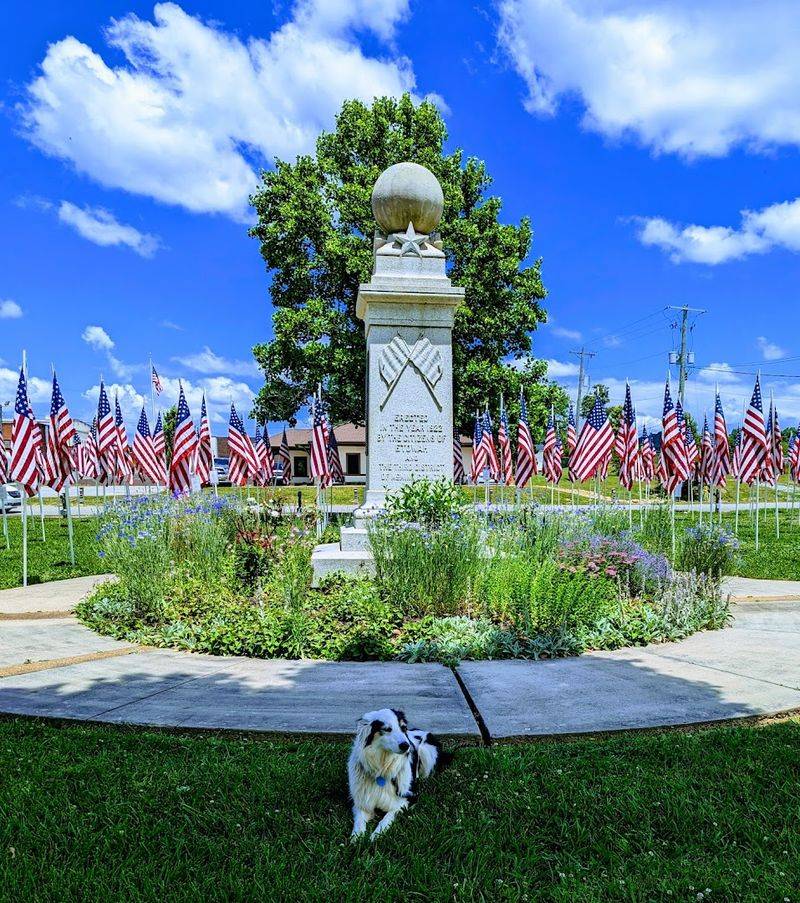 The Scenic Train Rides That Put Etowah on the Map