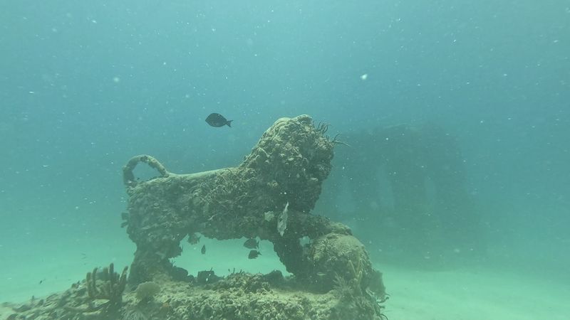 Neptune Memorial Reef (off Key Biscayne)