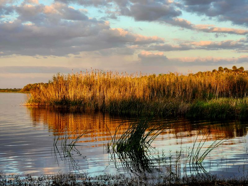 Myakka River State Park
