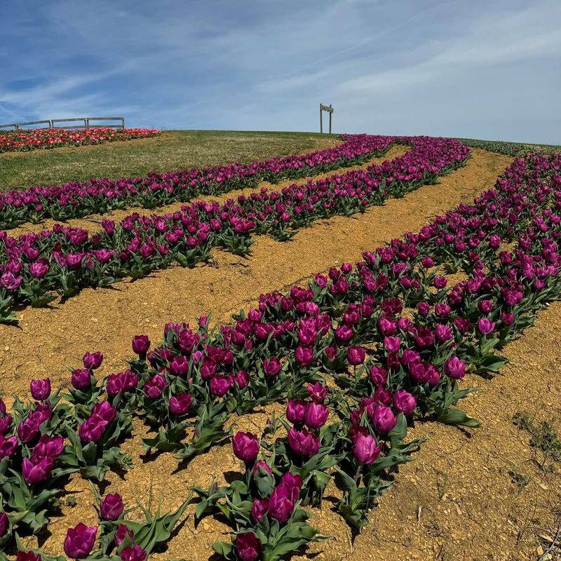 Planning Your Visit to Oakes Farm