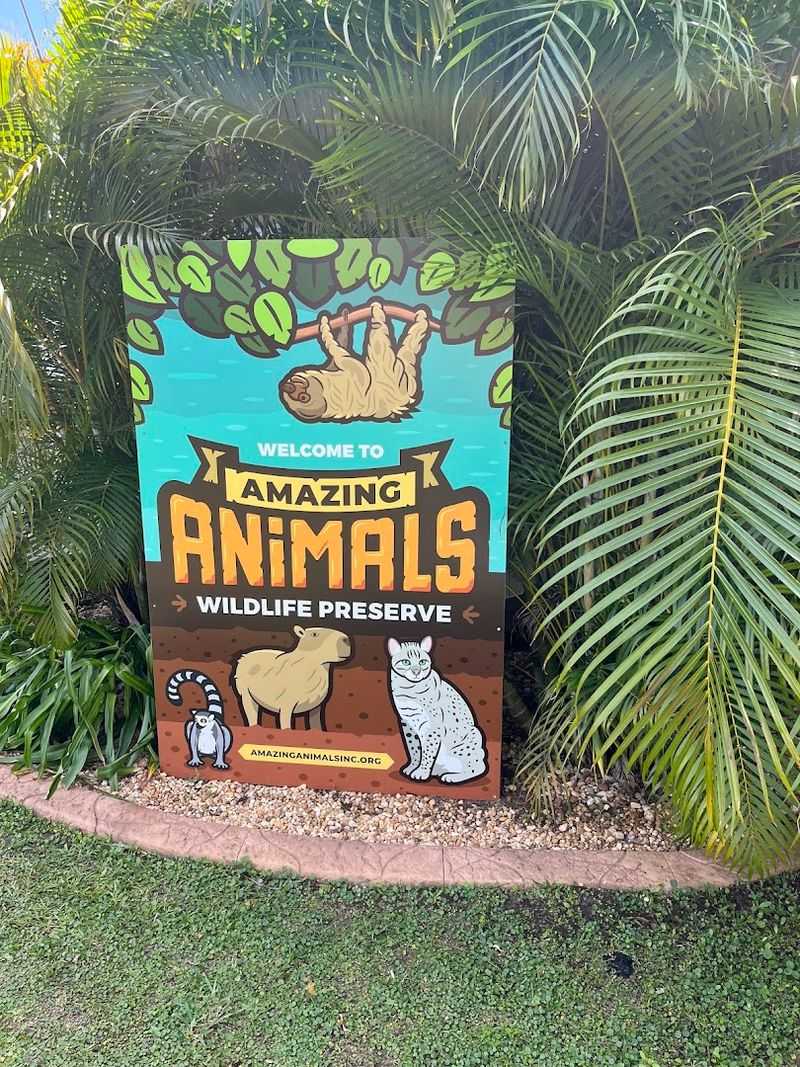 Camel Ride Adventure