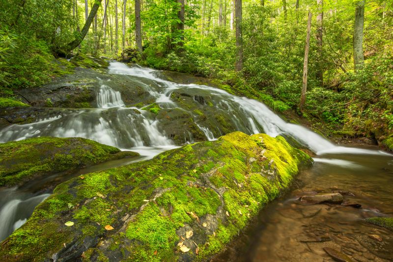Chasteen Creek Cascade (Bradley Fork & Chasteen Creek Trails)