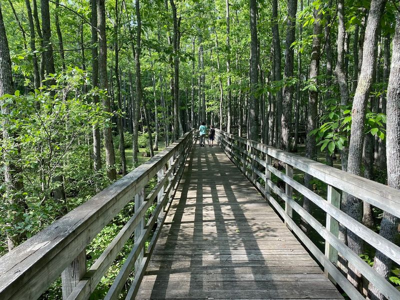 Mineral Slough Boardwalk &mdash; Ghost River State Natural Area (Moscow)