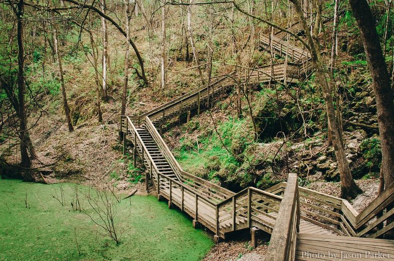 Devil’s Millhopper Geological State Park (Gainesville)