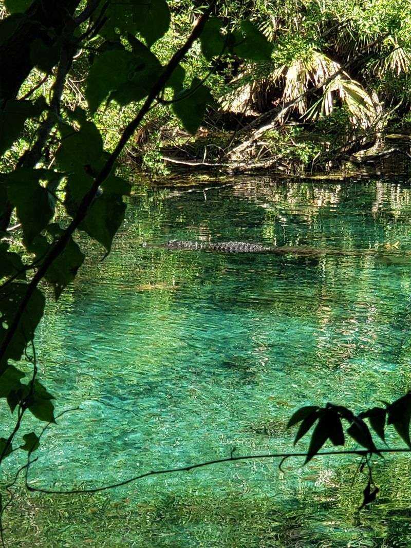 Silver Springs (Ocala)