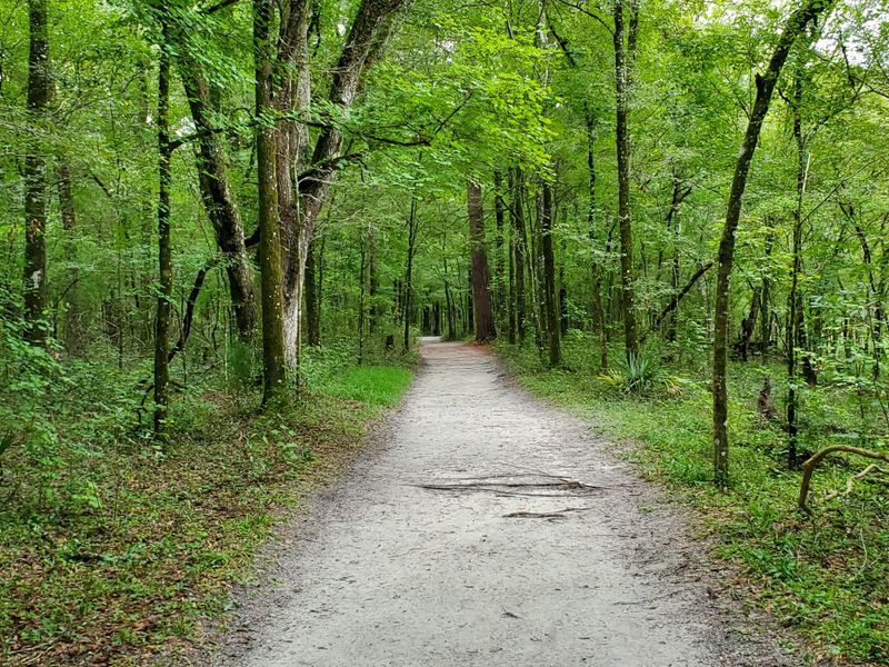 Best Seasons, Crowds, and Practical Tips