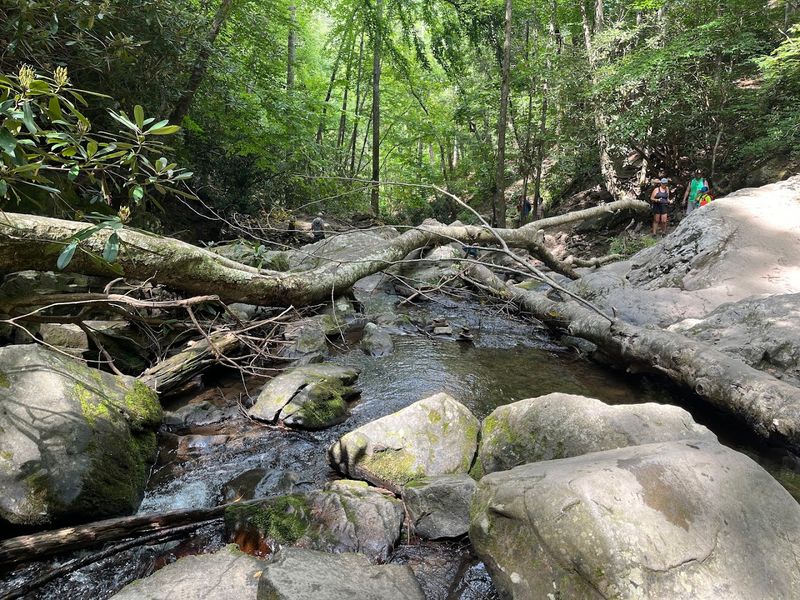 Spruce Flats Falls Trailhead (Townsend)