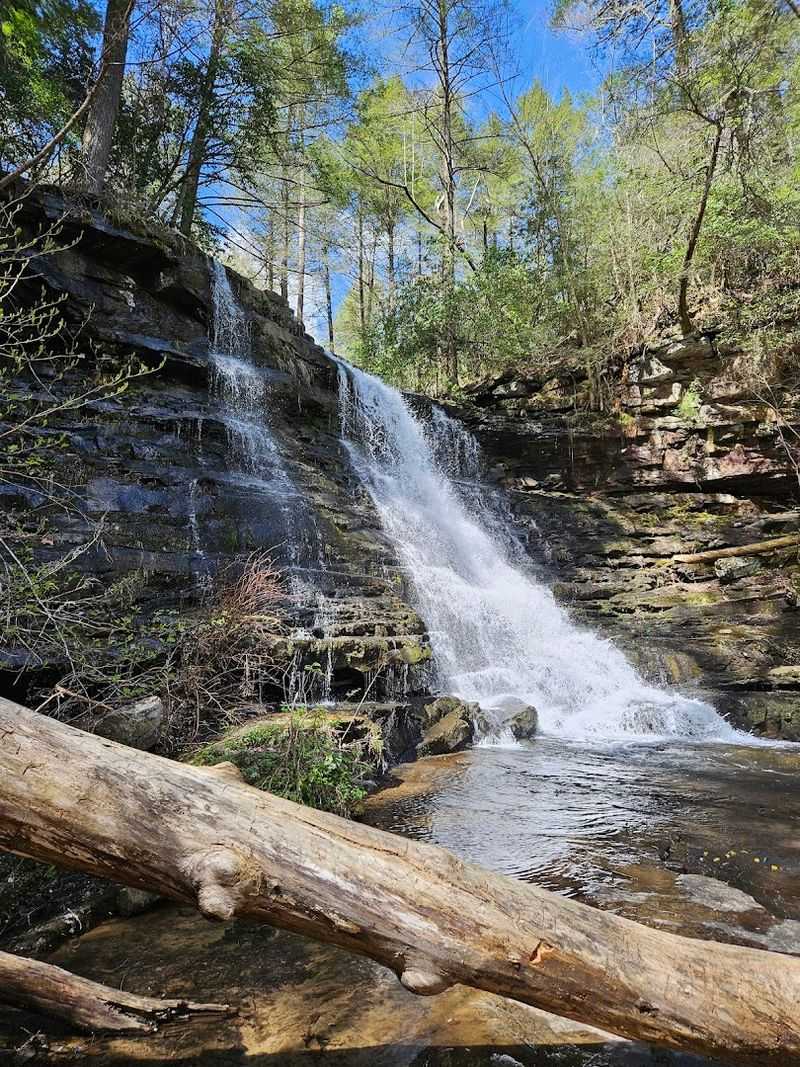 Greeter Falls Loop (Savage Gulf)
