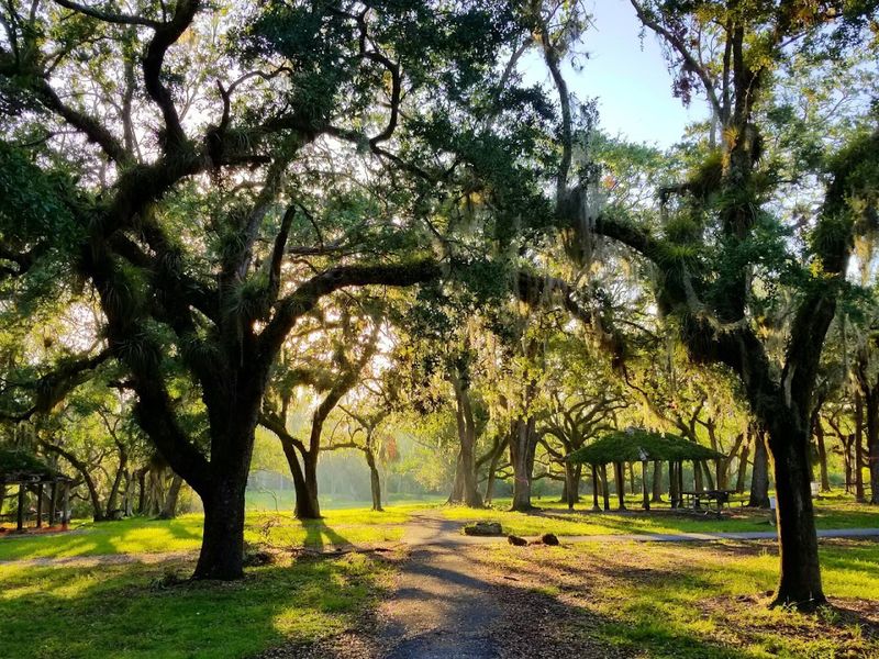 Picnic Spots and Palm-Framed Views