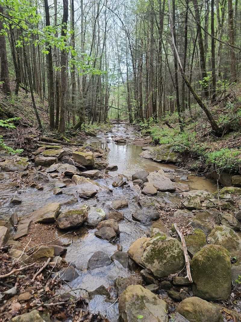 Hit the Trails: Off-Roading Like Never Before