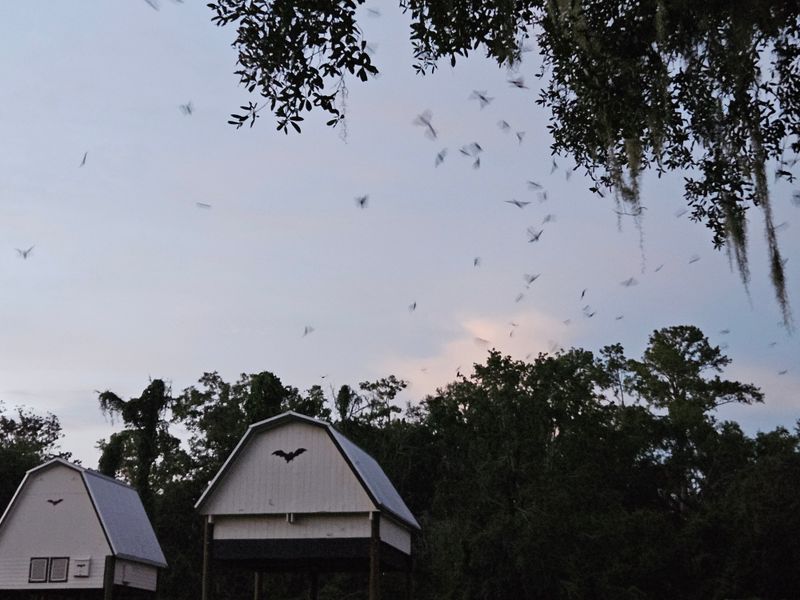 Best Seasons, Weather, And Timing Tips