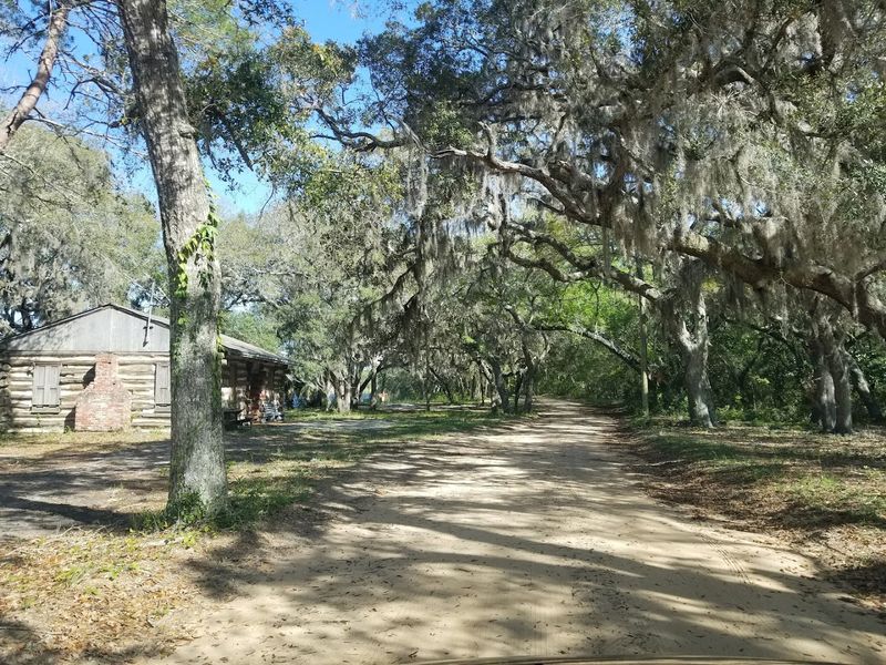 Eglin Air Force Base - Alaqua section (Panhandle)