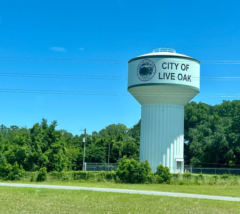 Live Oak