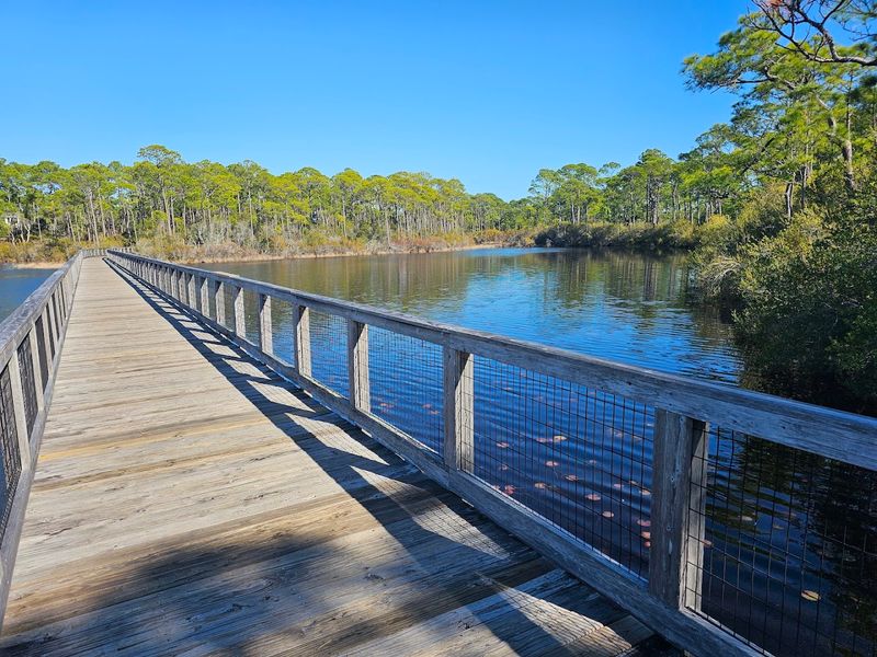 Deer Lake State Park — Deer Lake + the iconic dune boardwalk