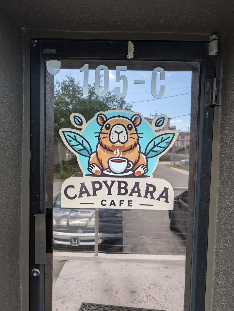 Why Everyone Is Obsessed With This Capybara Café