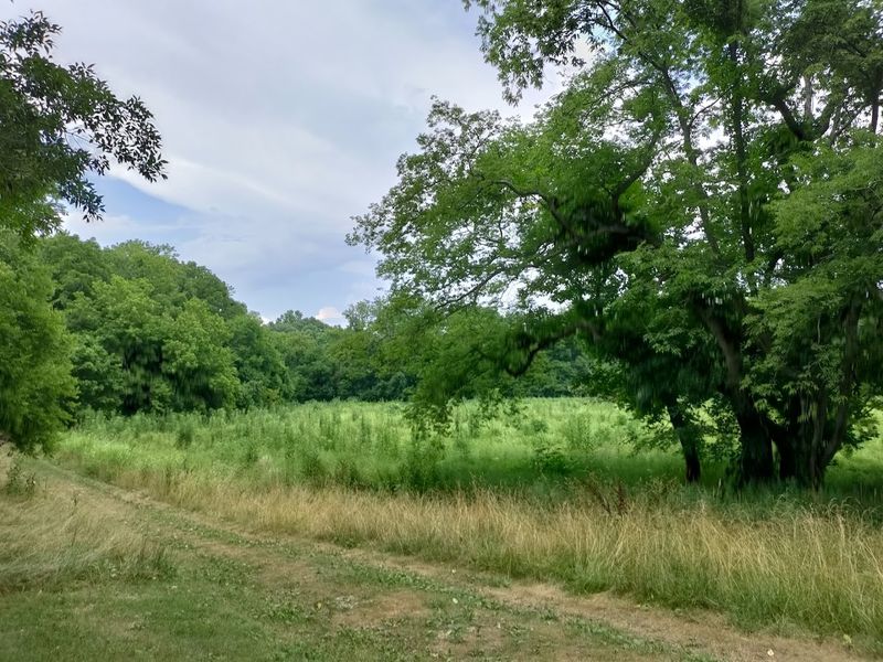 Sellars Farm Archaeological Area (Lebanon)