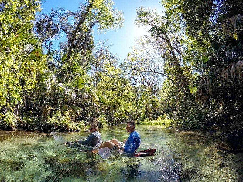 Guided Tours Worth Booking
