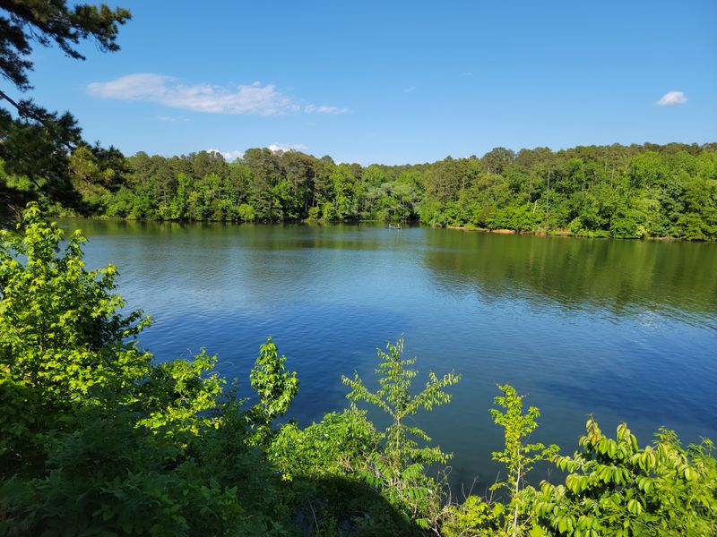 Pickwick Lake (Savannah)