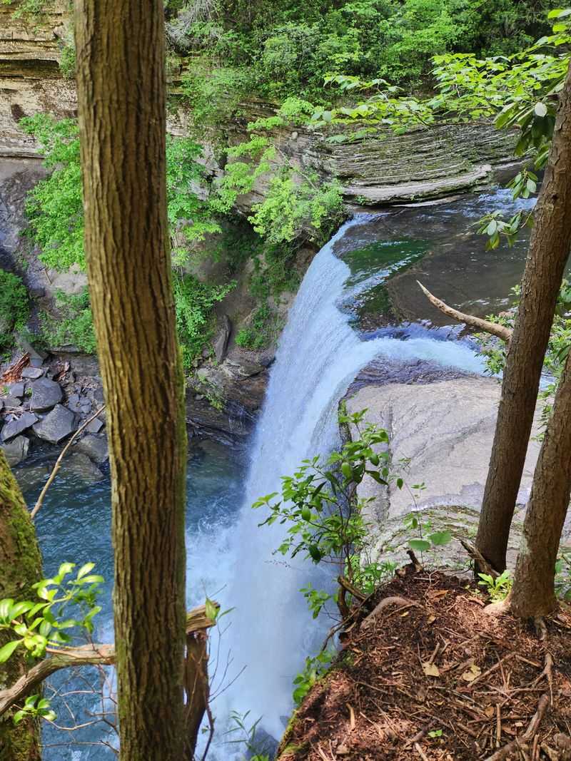 Greeter Falls (Savage Gulf State Park)